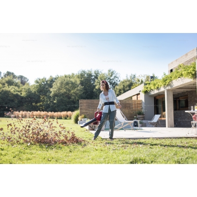 Садовая воздуходувка Honda HHB 36 AXB Садовая воздуходувка Honda HHB 36 AXB