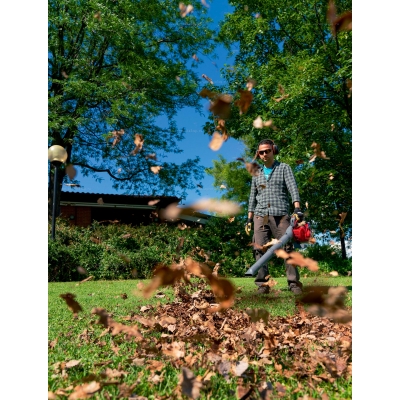 Садовая воздуходувка Efco SA 2500 Садовая воздуходувка Efco SA 2500