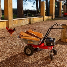 Самоходная тележка Eurosystems Carry B&S Series 450 Самоходная тележка Eurosystems Carry B&S Series 450