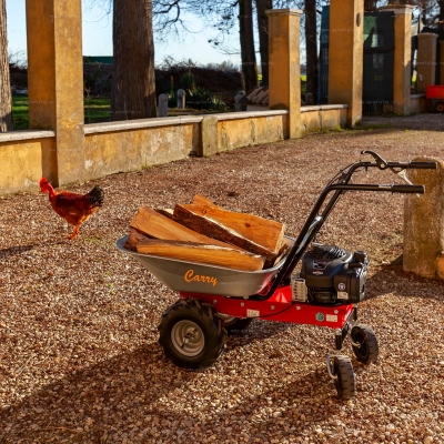 Самоходная тележка Eurosystems Carry B&S Series 450 Самоходная тележка Eurosystems Carry B&S Series 450