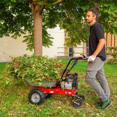 Самоходная тележка Eurosystems Carry Honda GCV 170 Самоходная тележка Eurosystems Carry Honda GCV 170