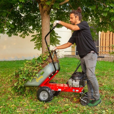 Самоходная тележка Eurosystems Carry Honda GCV 170 Самоходная тележка Eurosystems Carry Honda GCV 170