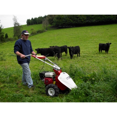 Сенокосилка Tielbuerger T60 B&S Сенокосилка Tielbuerger T60 B&S