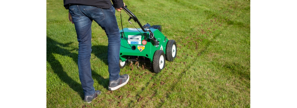 Как аэрация почвы помогает газону оставаться густым и здоровым?