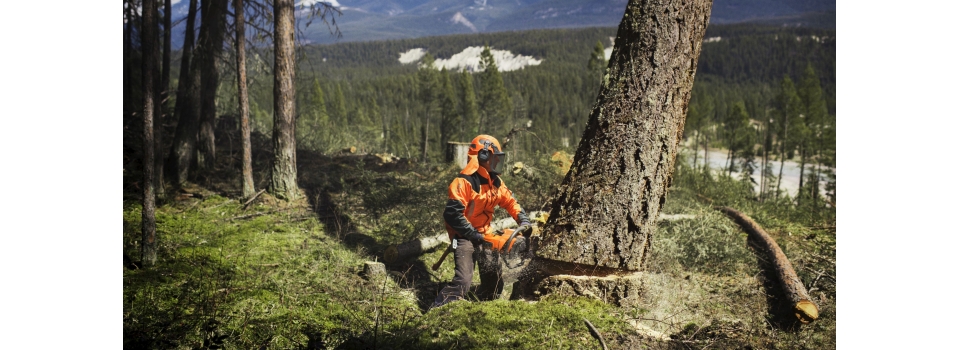 Как правильно и безопасно запустить бензопилу