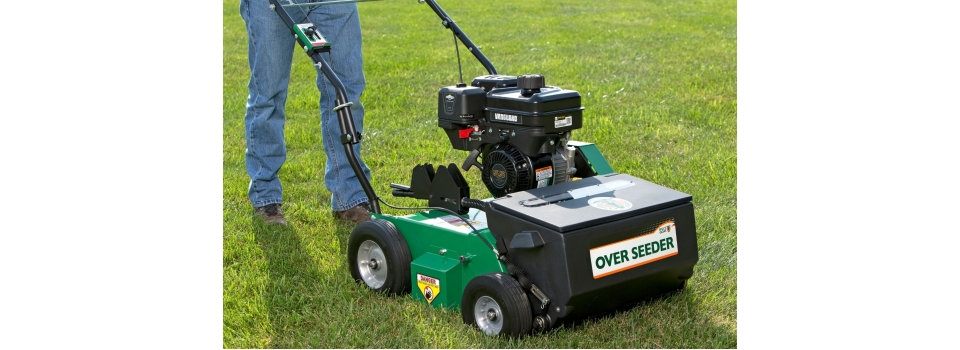 Как правильно подсеивать газон