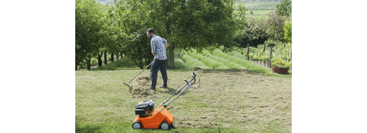Как работает скарификатор для газона и зачем он нужен?