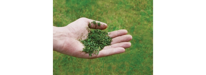 Кошение травы в режиме мульчирования: что это такое?