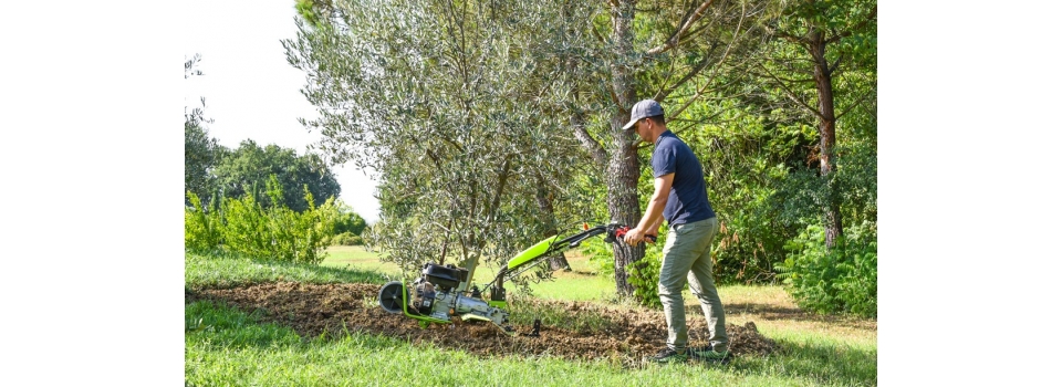 Культиватор с центральным или задним расположением фрез: что выбрать?