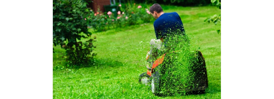 Мульчирование: рациональный подход к кошению