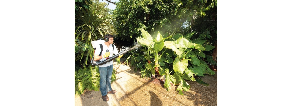 Опрыскиватели бензиновые ранцевые – мощное устройство для сада и огорода