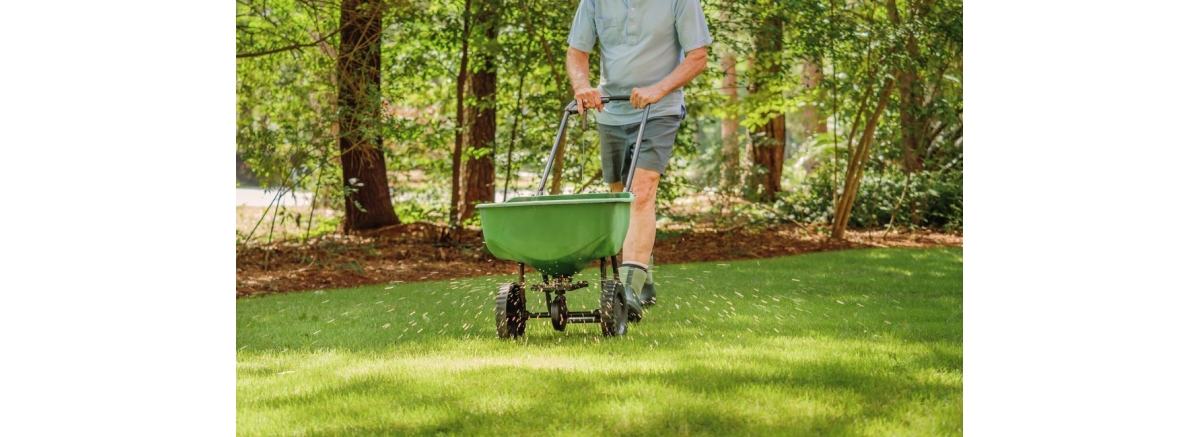 Плюсы подсева для укрепления здоровья вашего газона