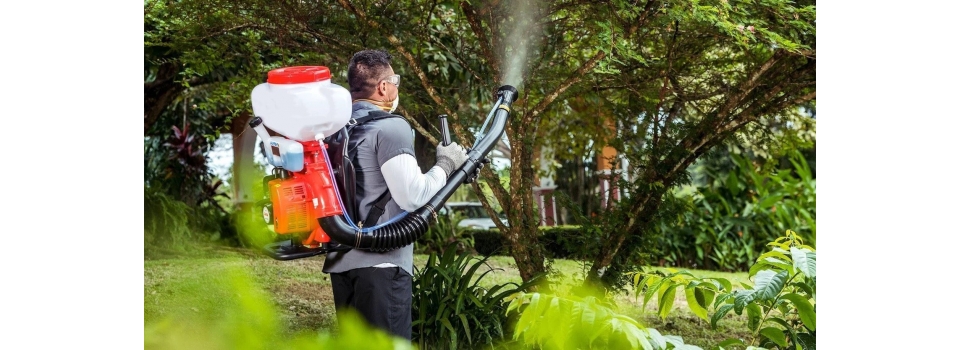 Руководство по выбору бензинового опрыскивателя