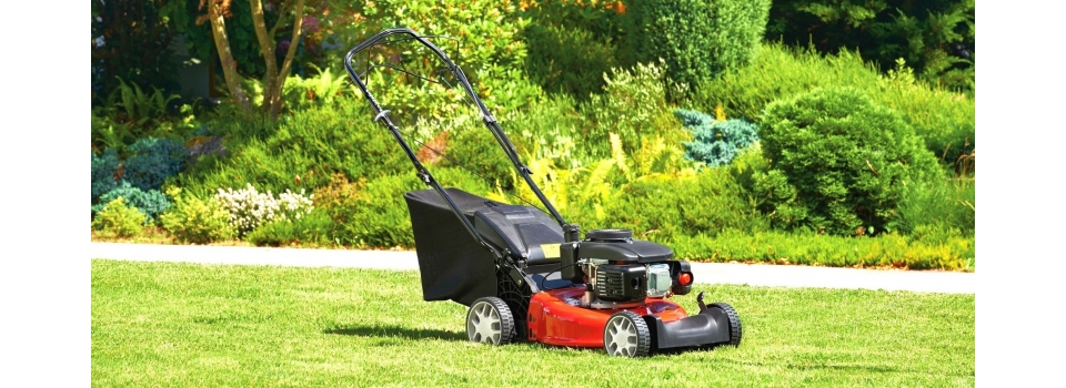 Стоит ли приобретать недорогие бензиновые газонокосилки?