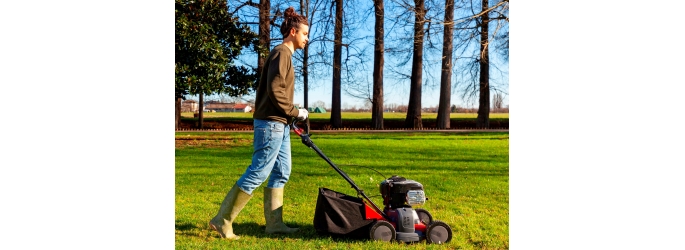 Вертикуттер, скарификатор, аэратор: разберемся в терминах и определимся с помощником для ухода за газоном