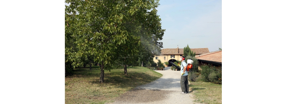Высокоэффективный опрыскиватель бензиновый для сада и огорода