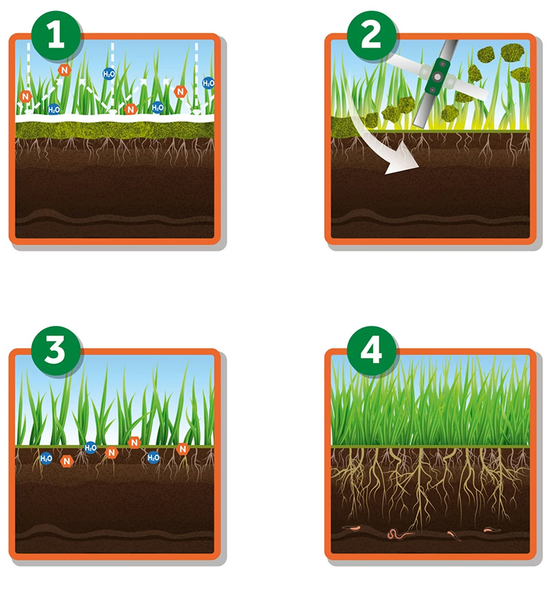 Для чего нужна скарификация газона