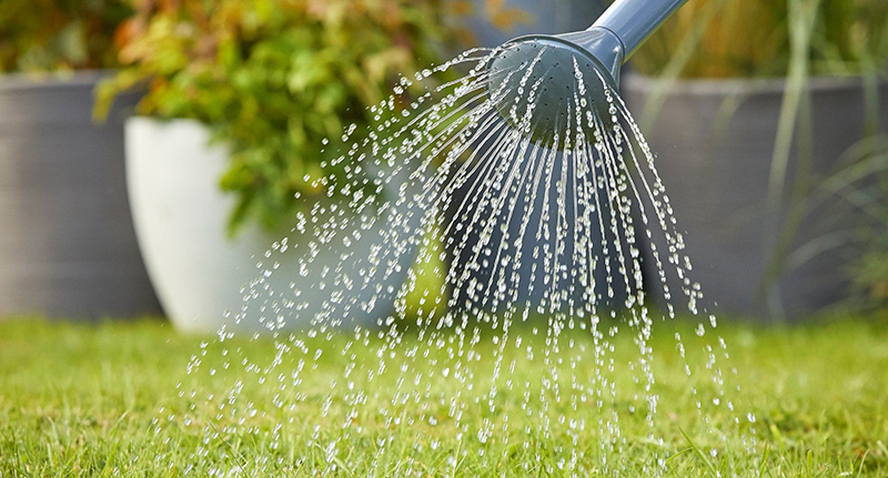 Как поливать газон: простые советы для идеальной травы :: Механический полив (ручной)