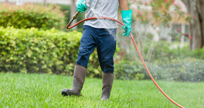 Как поливать газон: простые советы для идеальной травы :: Опрыскивание с помощью передвижного опрыскивателя