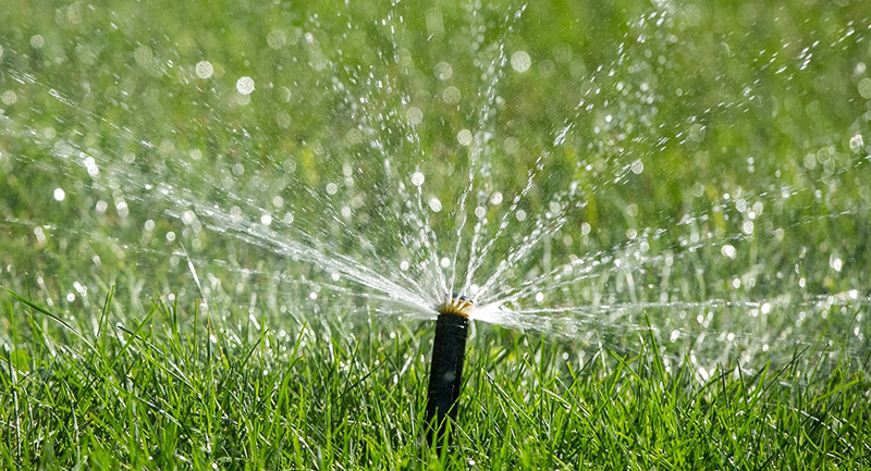 Как поливать газон: простые советы для идеальной травы :: Автоматический полив