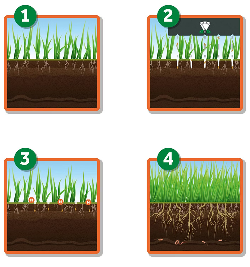 Как правильно подсеивать газон