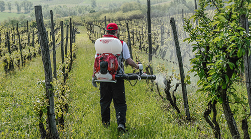 Опрыскиватель бензиновый для сада: за и против